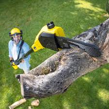 Best Pest Control for Lawns  in El Sobrante, CA